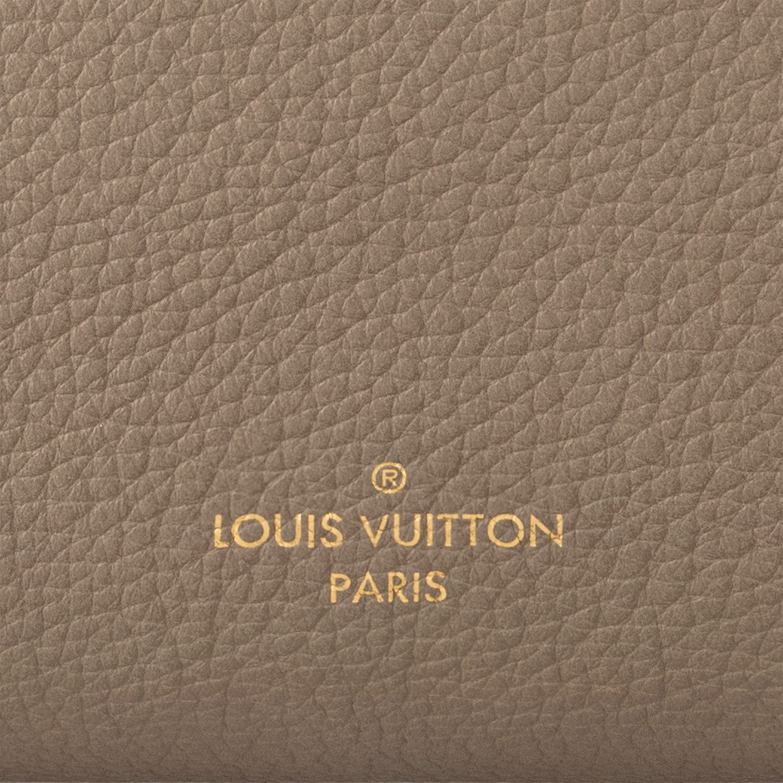 Outlet Louis Vuitton M25072 Side Trunk MM Taupe On Sale